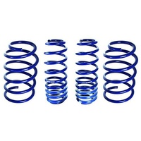 2005 - 2014 Mustang Lowering Springs - Front & Rear Set