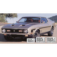 1971-72 Mach 1 Complete Stripe Kit - Argent Silver Metallic