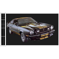 1975-77 Cobra 2 Dual Over The Car Stripe Kit - Gold