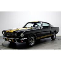 1966 - 1968 Shelby GT350 Stripe Kit - Gold