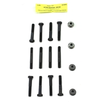 1968-69 Mustang Intake Manifold Bolt Kit (289, 302)