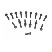 1969-70 Mustang Exhaust Manifold Bolts (Boss 302)