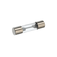 Glass Fuse - 20A - 1 1/4" Long