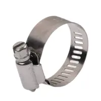 Hose Clamp - Perforated Band/Part Stainless 18-32mm