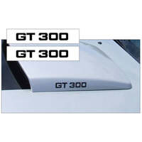 2005-09 Mustang GT300 Scoop Decal Set (75 Tall x 525 Long) Antique White