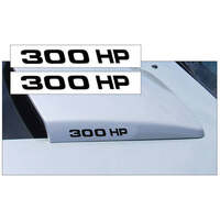 2005-09 Mustang '300Hp' Scoop Decal Set (9 Tall x 7 Long) Antique White