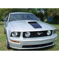 2005-09 Mustang GT Square Nose Decal - Antique White