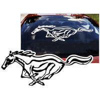 2pc Detailed Pony (12 x 3125) Silver Metallic