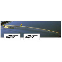 1994-98 Mustang Hood Cowl Decal & Pinstripe Set w/ 'GT' Designation (Style 2) Gold Metallic