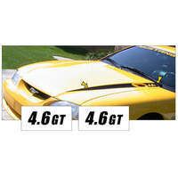 1994-98 Mustang Hood Cowl Stripe Set w/ '46 GT' Designation (Style 3) Gold Metallic