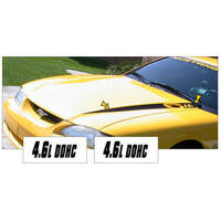 1994-98 Mustang Hood Cowl Stripe Set w/ '46L' Designation (Style 3) Gold Metallic