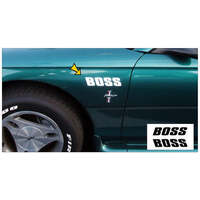 Boss Fender Decal Set - Silver Metallic