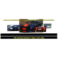 Dual Ford Lemans Racing Stripes Decal (6 x 100 Long) White