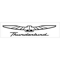 Thunderbird Name & Bird Decal (7.25 Tall x 36 Long) Silver Metallic