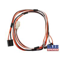 Rear Courtesy Light Wiring Harness for Holden Commodore VH SLE VK VL Calais