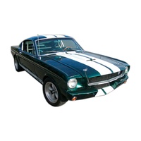 1964 - 1968 Mustang Lemans Stripe Kit - Gold